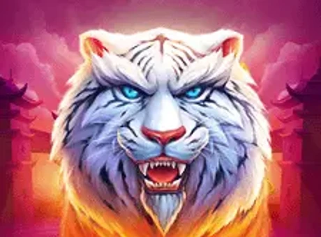 Luck Of Tiger Bonus Combo — Favbet